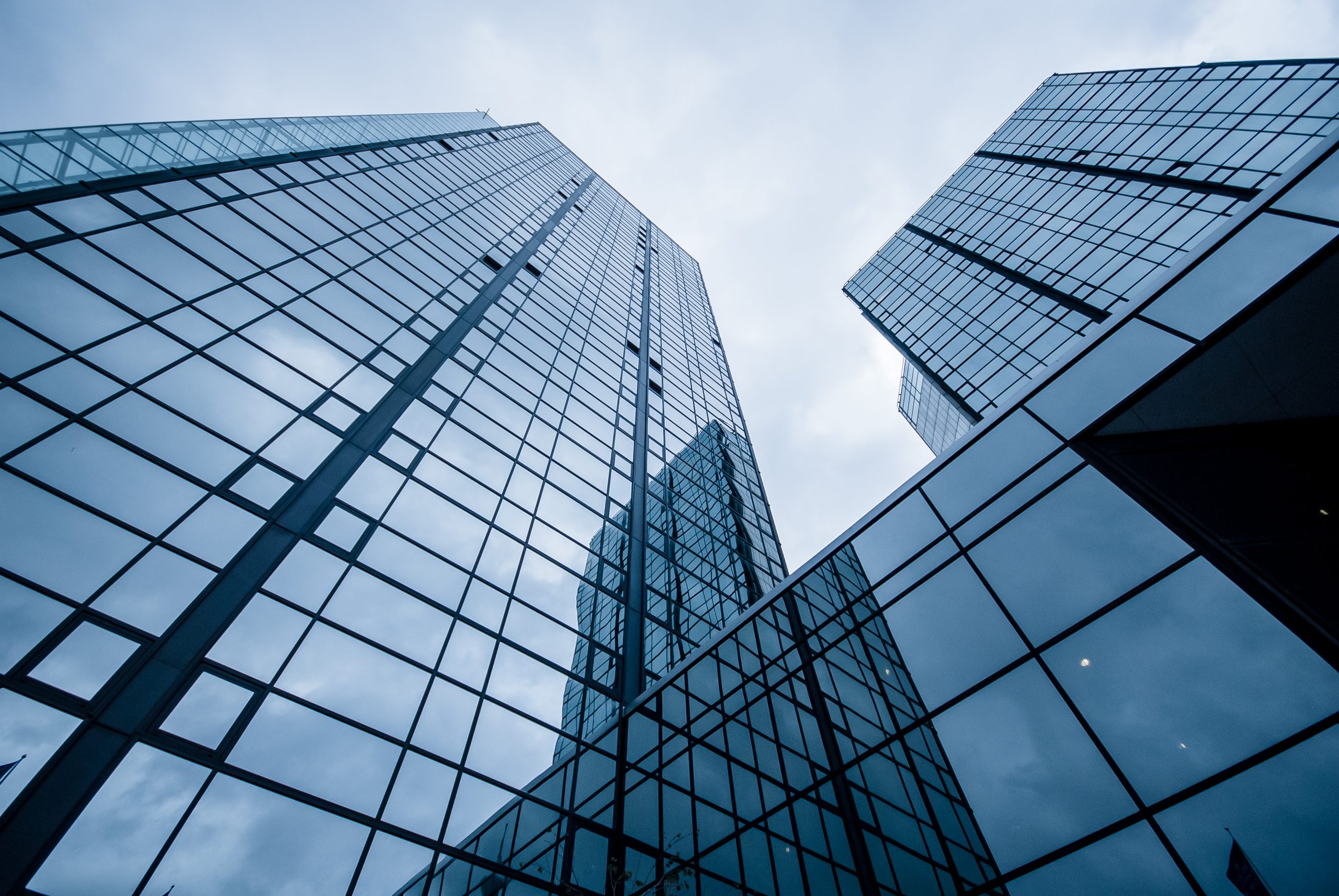 Alumni generico school